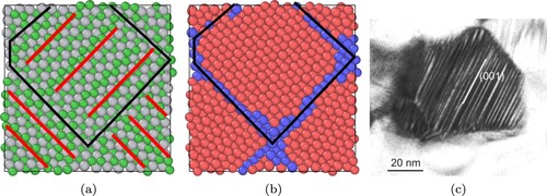 Figure 3. Martensite formation in nanograins of Ni–Ti SMA. (a) Growth of a single variant of martensite inside the nanograins of the 4.5 nm sized system. Nickel (green) and Titanium (grey) atoms where martensite variants and the single grain boundary are indicated by red lines and black lines, respectively. (b) Phase distribution map of the nanostructure shown in Figure 3(a), with martensite (red) and austenite (blue) phases and black line is the grain boundary. (c) Transmission electron microscopy (TEM) image of the single martensite variant in Ni–Ti SMA by Waitz et al. [Citation37].