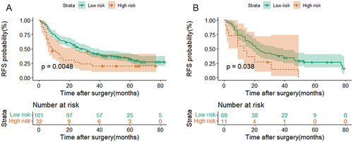 Figure 5 MVI Risk Score-based Prognostic Stratification. Graphs showed that multinodular HCC patients in the low-risk groups had significantly shorter RFS than those in the high-risk group in the (A) training cohort and (B) validation cohort (Log rank test, both P < 0.05).