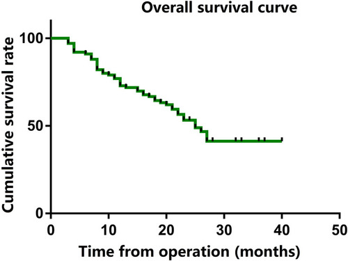 Figure 5 Overall survival curve in entire group.