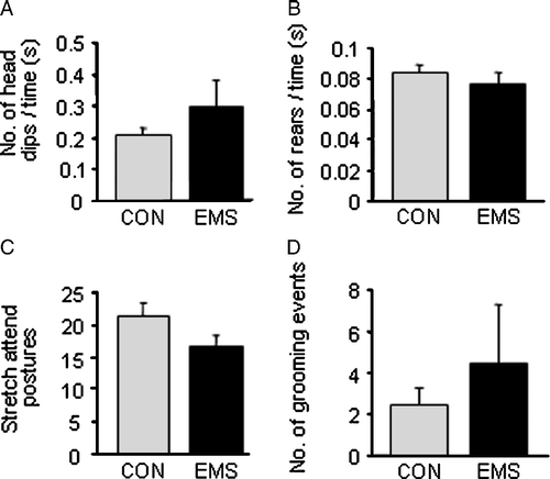 Figure 2 Exploratory behaviours measured on the EPM in control and EMS rats. (A) There was no significant difference between control and EMS rats in the number of head dips over the side of the open arms (as a proportion of time in arm). (B) There was no significant difference in the number of rearing events between the two groups (as a proportion of time in closed arm and hub). (C) There was also no significant difference in the number of stretch attend postures (C) or grooming events (D) exhibited between and EMS rats. All graphs show mean of group ± SEM, n = 9 control, 11 EMS.