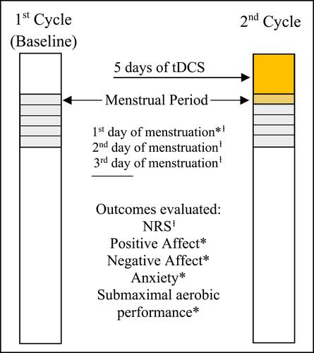 Figure 2 Research protocol.Notes: ƚOutcome evaluated on first, second, and third days of menstruation. *All outcomes evaluated only on the first day of menstruation.