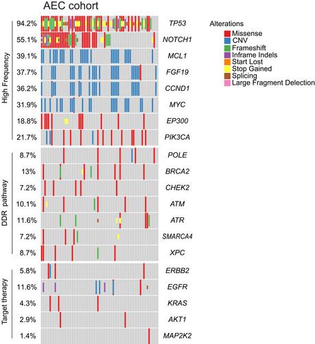 Figure 1 Genomic landscape of AEC cohort. The type of alterations was indicated by color. Each column represented one patient.