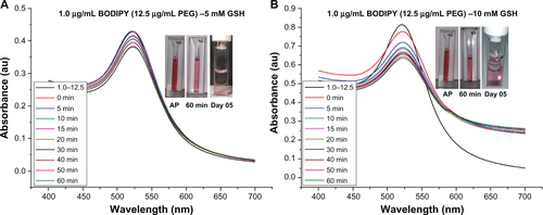 Figure S7 Ultraviolet-visible absorbance spectra for stability of gold nanoparticles conjugated with 1.0–12.5 μg/ml of BODIPY®-PEG in 5 and 10 mM glutathione. (AP-As Prepared Sample and in GSH after 60 minute and on day 5).Abbreviation: GSH, glutathione.