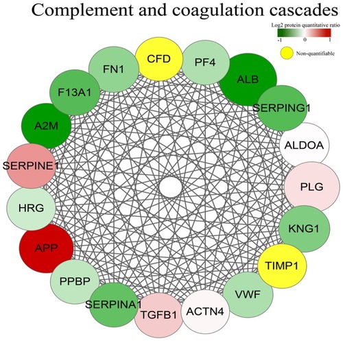 Figure 2 The cluster included 19 proteins (A2M, ACTN4, ALB, ALDOA, APP, CFD, F13A1, FN1, HRG, KNG1, PF4, PLG, PPBP, SERPINA1, SERPINE1, SERPING1, TIMP1, VWF) among which APP and SERPINE were up-regulated, the others were down-regulated.