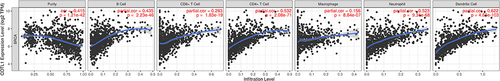 Figure 5 Correlation of COTL1 expression with tumor immune cell infiltration (purity, B cell, CD8+ T cell, CD4+ T cell, macrophage, neutrophil, and DCs) in the TIMER database.