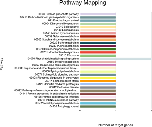 Figure 9. KEGG pathways of the predicted fennel miRNA targets that were mapped using the KAAS tool.