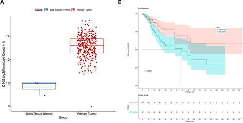 Figure 1 DSG2 is up-regulated in human cervical cancer and is associated with a poor prognosis. (A) Higher expression of DSG2 was found in cervical cancer samples than the normal tissues (based on TCGA database). (B) Kaplan–Meier plots of overall survival for cervical cancer samples with high/low DSG2 expression from the TCGA database.