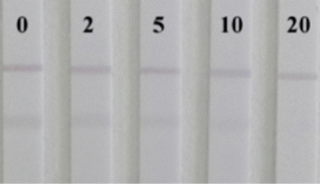 Figure 2. Immunochromatographic detection of Cd(II). A series of dilutions (2–20 µg/L) of Cd(II) was prepared in HBS.