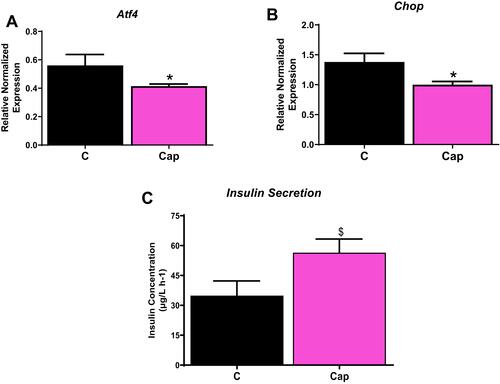 Figure 3 Captopril reduces ER stress. INS-1E cells treated with 100 µM captopril reduces ER stress as shown by (A) activated transcription factor 4 (Atf4) gene levels, (B) C/EBP homologous protein (Chop) expression gene levels and (C) improved insulin secretion. Data are presented as mean ± SEM (n=5 each group). *p< 0.05 compared to control. $p< 0.1.