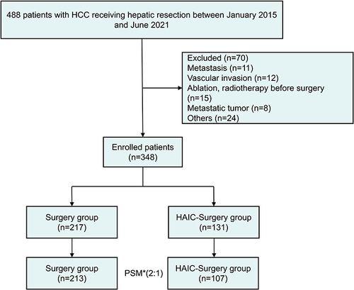 Figure 1 Flow diagram of patients with hepatocellular carcinoma who underwent either hepatectomy or HAIC-hepatectomy.