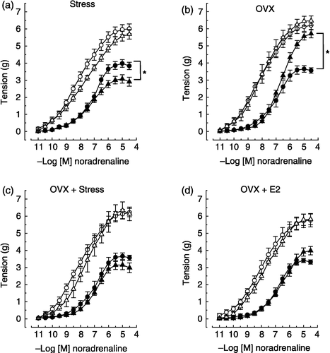 Figure 2 Effects of noradrenaline on two rings, one with and the other without endothelium, of the same thoracic aorta isolated from control and experimental female rats. The experimental protocols were: (a) stress (2 h-immobilization), (b) ovariectomy (OVX), (c) OVX plus stress, (d) OVX plus 17β-estradiol (E2), and (e) OVX plus E2 plus stress. The removal of endothelium increased maximum response to noradrenaline (P < 0.05), except in ovariectomized non-stressed females (panel b). None of the experimental protocols altered the vascular smooth muscle reactivity to noradrenaline vs. respective controls (see denuded aorta responses, P>0.05). Stress decreased and OVX increased maximum response to noradrenaline in the intact aorta (panels a and b, respectively). OVX did not prevent the decrease in the intact aorta reactivity to noradrenaline induced by stress (panels c × b). The maximum response to noradrenaline in the intact aorta from stress-exposed ovariectomized rats (panel c, filled triangle) was not significantly different from non-stressed intact females (panel c, filled circle). 17β-estradiol treatment restored the intact aorta reactivity to noradrenaline in ovariectomized non-stressed females (panels d × b) and recovered the stress response in aorta from ovariectomized rats (see panels e, c and a). Values are means ± SEM. *P < 0.05 vs. respective controls. Animal number range = 6–14 per group.