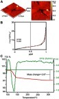 Figure 3 AFM images of the synthesized iron oxide quantum dots (A), the N2 adsorption/desorption (ADS/DES) isotherm at room temperature (B), and TGA profile obtained for iron oxide quantum dots (C).Abbreviations: AFM, atomic force miscroscopy; TGA, thermogravimetry analysis; DTG, derivative thermogravimetry.