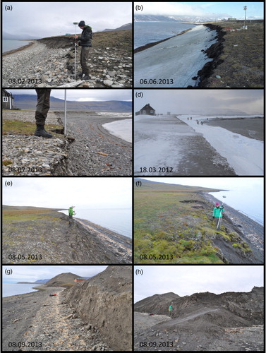 Fig. 2  Photographs from each field location showing (a, b) Vestpynten, (c, d) Fredheim, (e) Kapp Laila Cliff A, (f) Kapp Laila Cliff B and (g, h) Damesbukta. The left column of photographs shows the main cliff areas at each site and the right column of images indicates some of the terrestrial processes that affect each location: (b) large snow drifts, (d) ice foot build up and surface channel ice where active-layer interflow is present, (f) permafrost subsidence and (h) melt-out of dead ice.