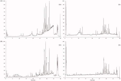 Figure 8. Total-ion chromatograms in the positive and negative modes of blank rat serum (A) and the serum after oral administration of ZJP (B).