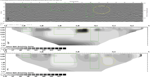 Figure 5. GPR (a) and ERT (Dipole-Dipole [b] and Wenner [c] arrays) profiles of three pig burials that were surveyed 14-months postburial at a research site in Western Sydney. The green boxes denote the three graves; the left-most box is a single grave with one pig that measures 1 m × 2 m × 0.5 m, the middle box is a mass grave with three pigs that measures 3 m × 2 m × 1 m, and the right-most box is a single grave with one pig that measures 0.75 m × 2 m × 1.8 m. The yellow ovals denote areas that could also be interpreted as graves based on their size and depth. The GPR data were processed in ReflexW (1- moving the start time via a static correction, 2 – subtracting mean from traces via a ‘de-wow’, 3 – applying an energy decay gain, 4 – applying a bandpass Butterworth filter, and 5 – applying a 2D running average filter. The ERT data were transformed in R and processed (exterminating bad data points) and inverted (using a least squares L2 robust inversion) in Res2DInv. The Root Mean Square (RMS) values for the Dipole-Dipole and Wenner arrays are 15.5% and 7.9%, respectively.