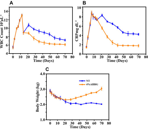Figure 9 Changes in WBC, CRP, and body weight in rabbits after bacterial injection and material implantation. (A) WBC curve, (B) CRP curve, (C) Body weight curve. The entire experiment was carried out for 70 days. From day 10, the AHRG material was implanted for treatment.
