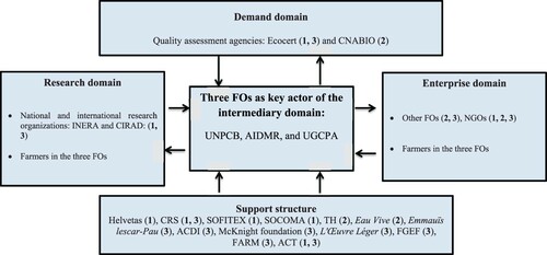 Figure 2. An illustration of FOs as a key intermediary domain actor for agroecological innovations in Burkina Faso. Source: Own analysis based on Arnold and Bell (Citation2001).