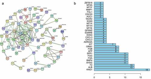 Figure 3. (a) Protein association networks of 155 genes. (b) The top 30 genes with the highest degree of correlation.