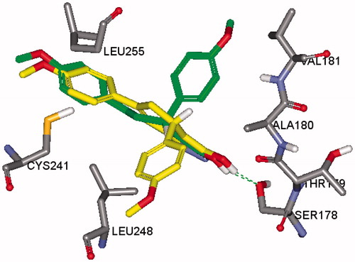 Figure 7. Overlay of the top docking poses of R (green) and S (yellow) isomers of 4b in the active site of tubulin (PDB: 1SA0).