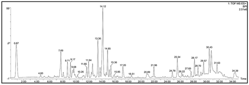 Figure 1 The total ion chromatogram of E.G in positive ion modes.