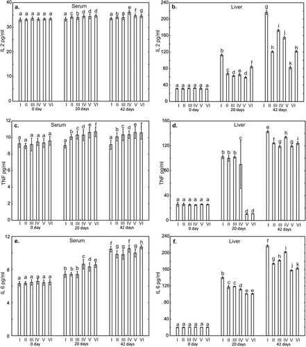 Figure 3. One-way ANOVA and subsequent Tukey’s test for interleukin concentration in chicken serum (a, c, and e), and liver tissue (b, d, and f). Statistical differences (P ≤ .05) are marked with different letters. Il-2 – interleukin 2, TNF-α – tumor necrosis factor alpha, Il-6 – interleukin 6. I – control group, II–VI – experimental groups