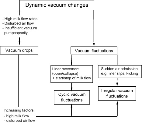 Figure 1. Overview on the different types of vacuum changes which can occur during machine milking. A general drop of the vacuum level during the milking process occurs as soon as the milk flow rate increases. It depends of the milk flow rate, and of characteristics of the milking system (capacity; line height). An accumulation of milk in the claw and milk tubes, which needs to be transported through the system by the milk line vacuum, affects the free airflow and leads to the decrease of the vacuum beneath the teat. Changes have been defined as either vacuum drops or vacuum fluctuations.