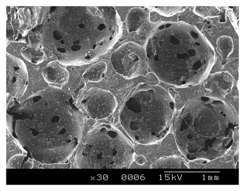 Figure 8. Scanning Electron microscopy image of 3:2 C-PCLT porous sample showing interconnected pores.
