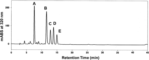 Fig. 4. HPLC analytical profile of active fraction 7 from size-exclusion chromatography of roasted coffee bean extracts.Note: HPLC conditions: column, Cosmosil 5C18-ARII (250 × 2.0 mm i.d.); solvent, 1% acetic acid in H2O–CH3CN (85:15); flow rate of 0.5 mL min−1.