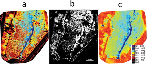 Figure 10. (a) Digital surface model (DSM), (b) vegetation mask with black color in cells with presence of vegetation and white color in cells with absence of vegetation and (c) digital terrain model (DTM). DTM and DSM are represented with the same color scheme. Figures in legend represent meters above sea level.