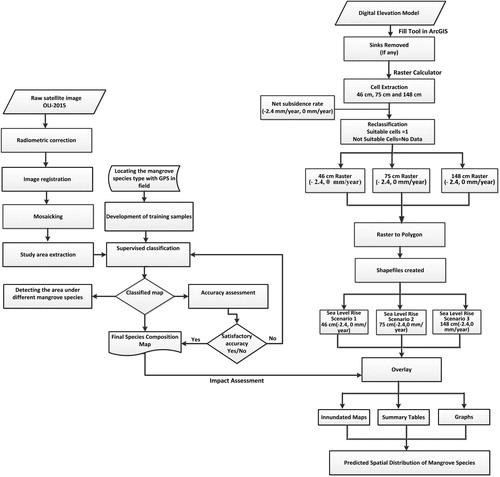 Figure 3. Methodology flowchart.