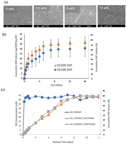 Figure 3. (a) SEM images of photo-crosslinked CS nanofibers with 10% SNP, 5% TTEGDA and irradiation of 120W. (b) SNP release from CS nanofibers with 10% SNP and 20% SNP, which are photocrosslinked by 10% TTEGDA and 120W irradiation. (c) NO release from CS nanofibers containing 10% SNP without photocrosslinking, with 5% TTEGDA photocrosslinking and with 10% TTEGDA photocrosslinking under 120W irradiation.