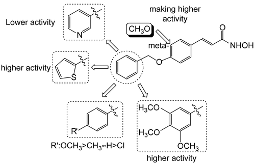 Figure 3.  SAR analysis of the benzylether derivatives.