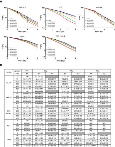 Figure 2 NBTXR3 activated by RT kills more cancer cells than RT alone. (A) Clonogenic assay in DU-145, PC-3, HEP-3B (upper panel), T98G, and MIA PaCa-2 (lower panel). Cells were treated overnight with various concentrations of NBTXR3, then irradiated. After several days, colonies were stained using crystal violet and counted. Presented data were obtained from at least three independent experiments (n≥3). Data are represented as surviving fraction percentage (SF (%)) ± SEM. (B) Surviving fraction (SF) and corresponding Dose Enhancement Factor (DEF) for each condition. Percentage of surviving fraction (SF) ± SD and dose enhancement factor (DEF) ± SD. n ≥ 3. *p<0.05; **p<0.01; ***p<0.001.