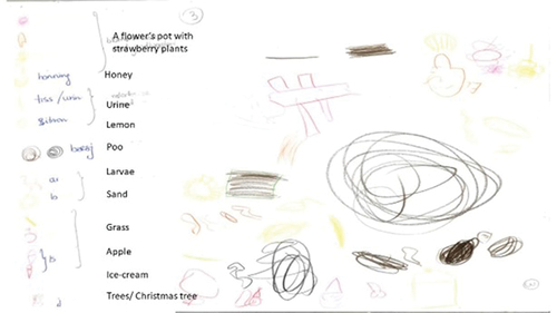 Figure 2. Examples of the ‘smellmaps’ children created in response to the smellwalk.