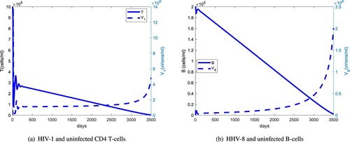 Figure 7. Comparison of the long-term dynamics of the uninfected CD4 T cells and B cells with regard to HIV-1 and HHV-8 load: (a) HIV-1 and uninfected CD4 T cells and (b) HHV-8 and uninfected B cells.