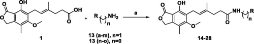 Scheme 1. General scheme for synthesis of mycophenolic acid amides (14–28): Reagents and conditions: Method A: DMAP, EDCI.HCl, DMF, 0 °C 6 h, RT, 48–72 h; Method B: DIPEA, HATU, DMF, 0 °C 6 h, RT, 48–72 h.