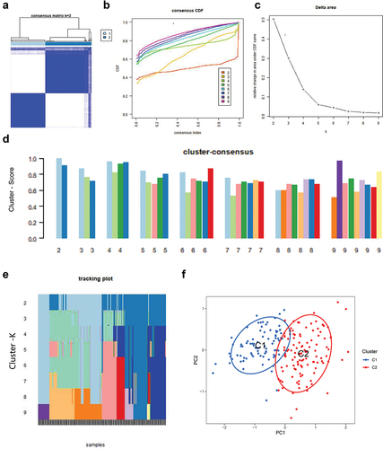 Figure 3. Identification of copper-death-associated molecular clusters in COVID-19.