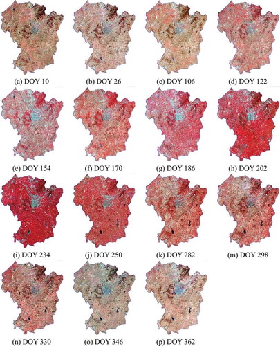 Figure 6. Reconstruction results of cloud-covered Landsat image by the proposed method, subfigures (a-p) represent the reconstructed images in the NIR-red-green band composition, and the text below the image indicates the imaging dates