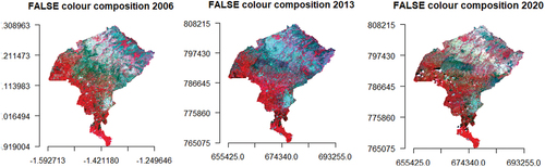 Figure 3. False color composition from image.