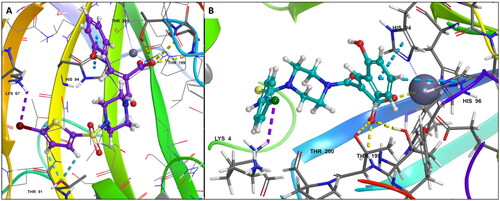 Figure 4. (A) Docking pose of compound 6d (purple) (B) docking pose of compound 7b (teal) in the active site of hCA IX (PDB ID: 1JD0) Zn2+ is represented as grey sphere.