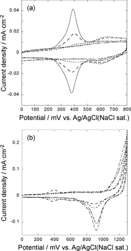 Figure 1 (a) Cyclic voltammograms of the 5-layer GNC electrode on the Au(111) electrode measured in an Ar saturated 0.1 M HClO4 solution at a scan rate of 50 mV s−1: (—) 0, (− −) 5, (····) 10, (−··−) 20, (−·−) 30 cycles between 0 and 1300 mV were applied to desorb SAM. (b) Cyclic voltammograms of oxidative desorption of SAM from 5 layers of the GNC electrode on the Au(111) electrode measured in an Ar saturated 0.1 M HClO4 solution at a sweep rate of 50 mV s−1, repeating the potential cycle between 0 and 1300 mV for 5 (− −), 10 (····), 20 (−··−), and 30 (−·−) times to desorb SAM.