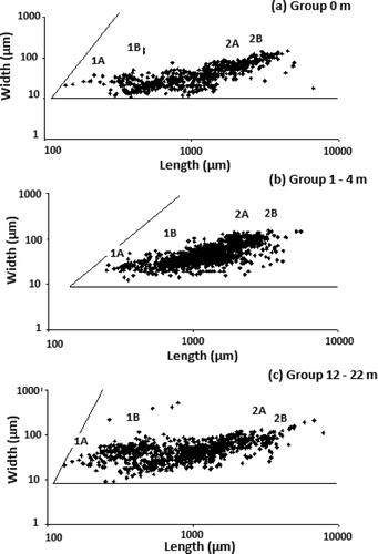 Figure 8. Log scale plots of nematode L (Length) vs. W (Width) for the three depth groups.