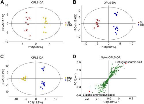 Figure 2 OPLS-DA could distinguish different subgroups and S-plot helps to select the potential biomarkers. (A) SL patients (red triangles) compared with SNL patients (yellow rhombus); (B) SL patients (red triangles) compared with HC (blue squares); (C) SNL patients (yellow rhombus) compared with HC (blue squares); (D) L-alpha-aminobutyric acid and dehydroascorbic acid were considered as potential biomarkers based on the S-plot.