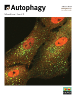 Cover image for Autophagy, Volume 8, Issue 6, 2012