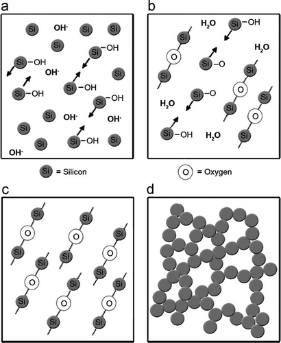 Figure 2. Colloidal silica gelling mechanism [Citation4].