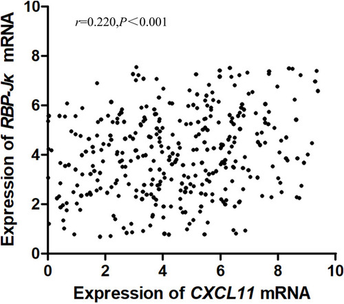 Figure 2 Correlation between RBP-Jκ and CXCL11 mRNA expression in colon cancer tissues. The dot plot figure shows a positive correlation between RBP-Jκ and CXCL11 mRNA expression (Pearson’s rank test r=0.220; P<0.001). X-axis: CXCL11 mRNA expression level of each patient. Y-axis: RBP-Jκ mRNA expression level of each patient.