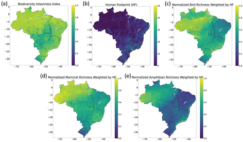 Figure 2. Input data for biodiversity indices and land-use modelling, index values range from 0 to 1 except for Human Footprint (HF) that ranges from 0–50 (no unit). In (a) Biodiversity Intactness Index (BII) in 2010 based on Newbold et al. (Citation2016); (b) HF index in 2009 based on Venter et al. (Citation2016); (c) Normalised Bird Richness Weighted by Human Footprint index (Weighted Bird Richness = Bird Richness *1- HF/100); (d) Normalised Mammal Richness Weighted by Human Footprint index (Weighted Mammal Richness = Mammal Richness *1- HF/100); and (e) Normalised Amphibian Richness Weighted by Human Footprint index (Weighted Amphibian Richness = Amphibian Richness *1- HF/100). Figures (a), (b) and (c) are based on Venter et al. (Citation2016) and Jenkins et al. (Citation2015).