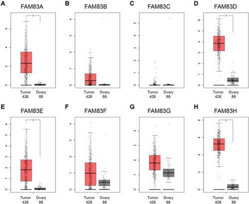 Figure 2 The mRNA expression levels of FAM83 family members in 426 ovarian cancer tissues and 88 normal ovary tissues (GEPIA) (A–H).