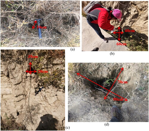 Figure 3. Hydrostatic sedimentary layer and underground cavities: (a, d) Underground cavities. (b, c) Hydrostatic sedimentary layer with cavities.