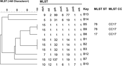 Figure 4 MLST phylogenetic tree of 14 Enterococcus faecium strains among 40 LNSE strains.